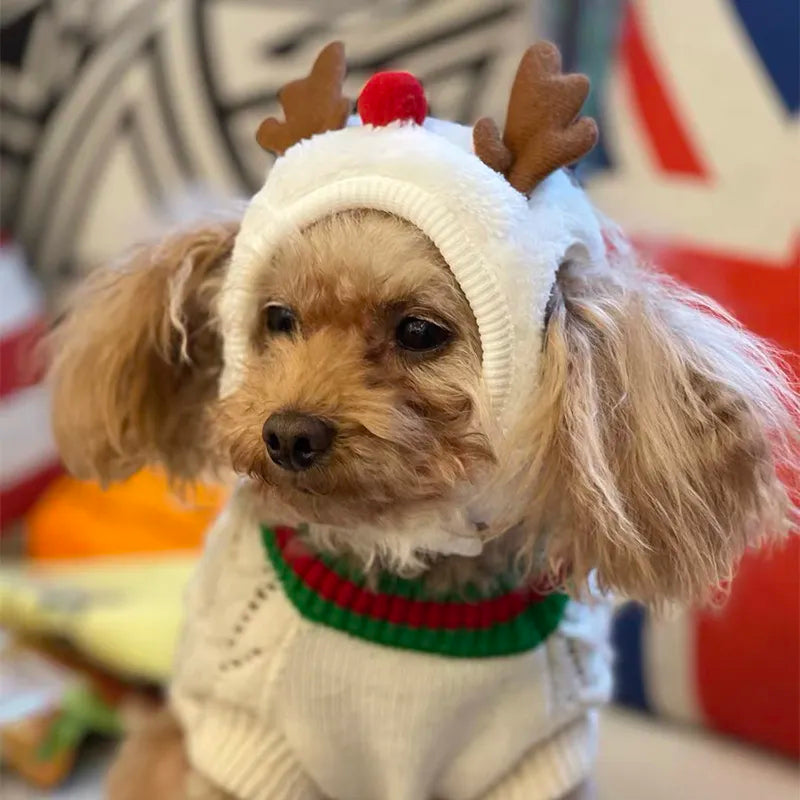 Pet Christmas Headpieces