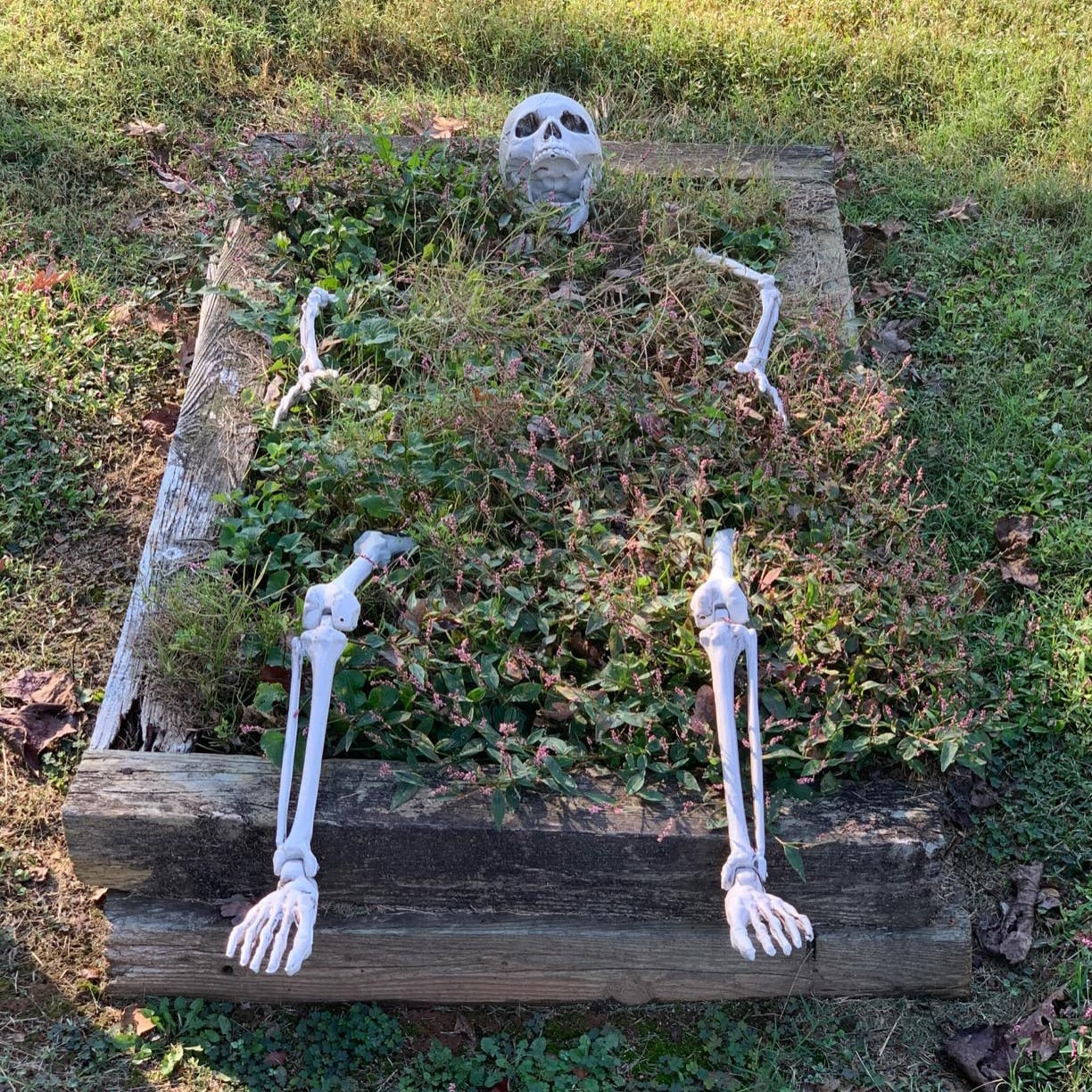 Skeleton Yard Prop