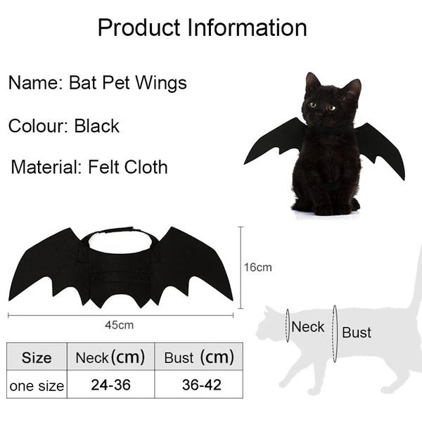 Pet Bat Wings