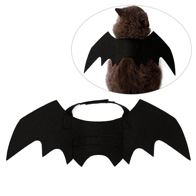 Pet Bat Wings