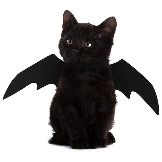 Pet Bat Wings